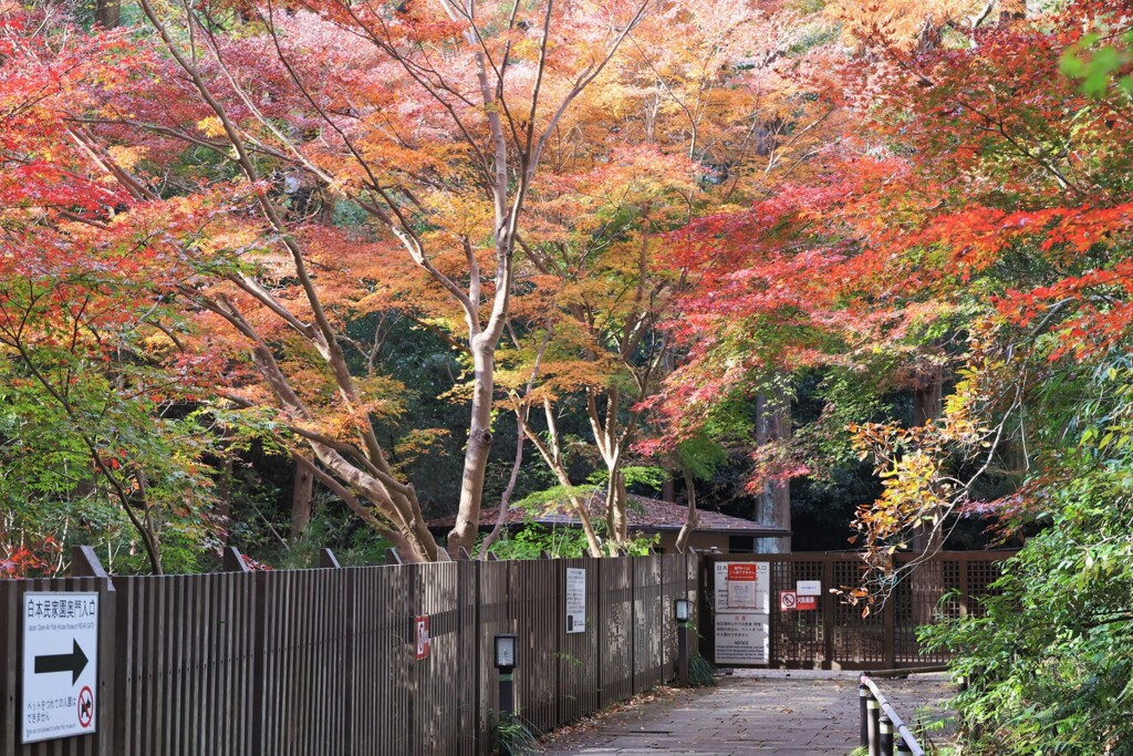 奥門
