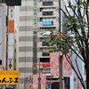 そんなわけで