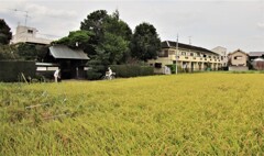 魚眼で超広角写真