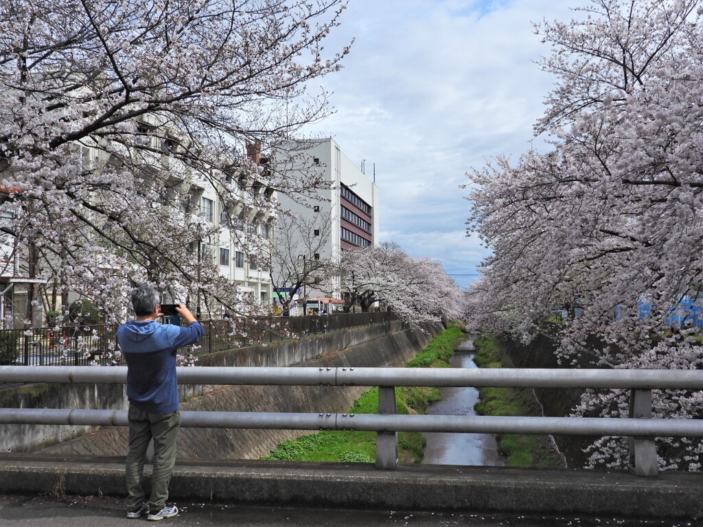 稲城市役所