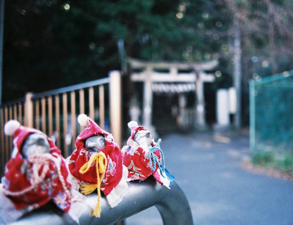 コンタックス・ディスタゴンT＊28㎜F2.8