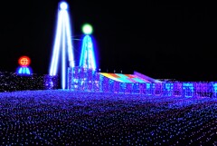 光の草原