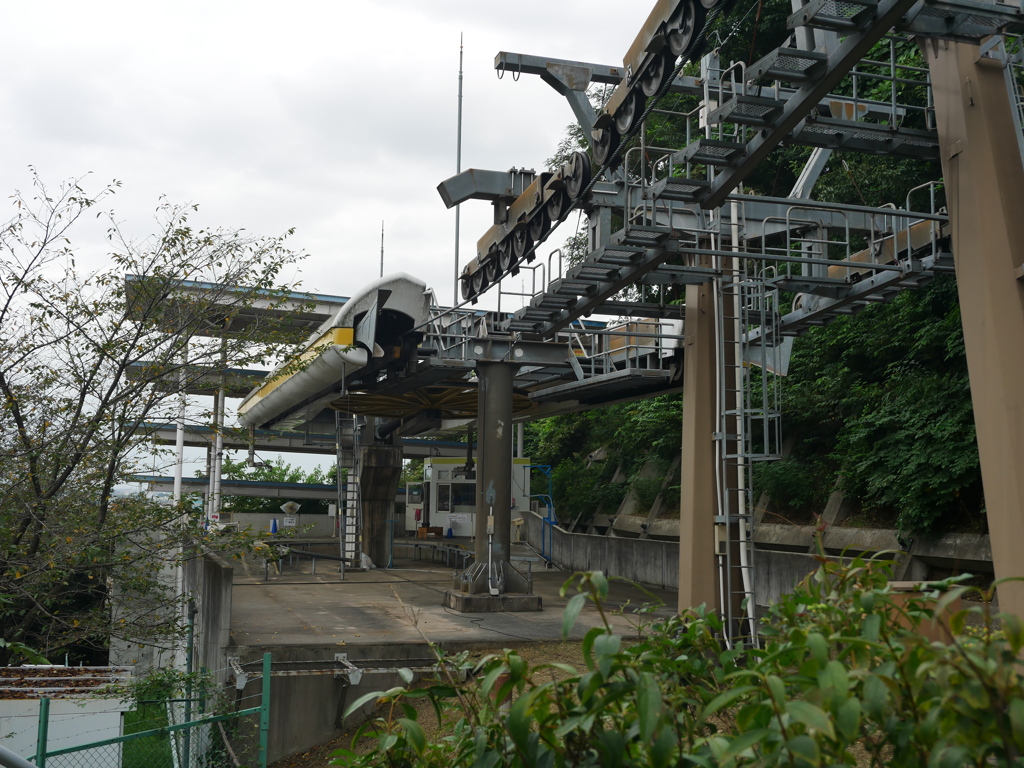 春日三球・照代がフラッシュバック