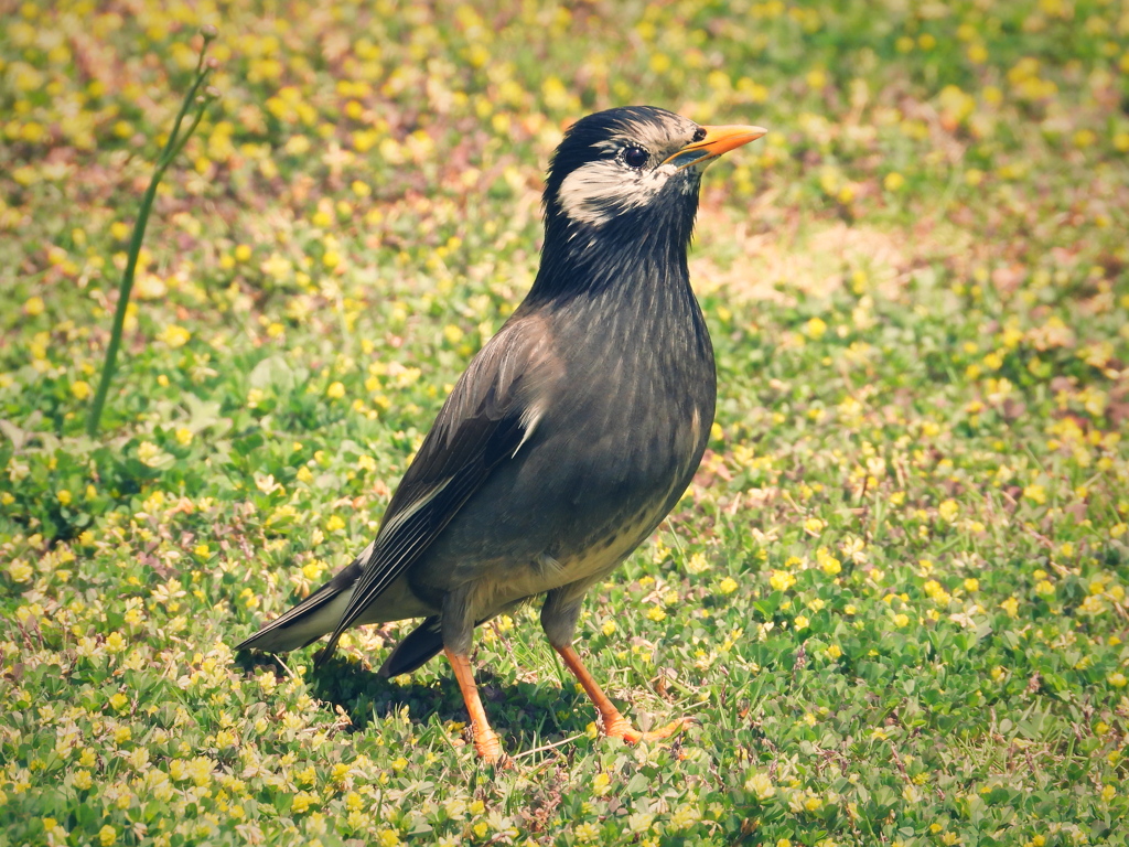 頑張っていってらっしゃい！