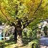 少し早かったか