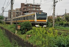 テックアートAFコンバーターを外でテスト