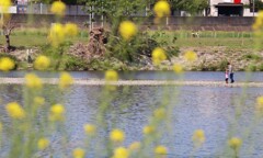 多摩川.com