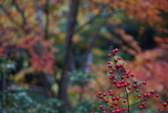 F5.6でも