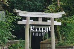 弁財天の鳥居