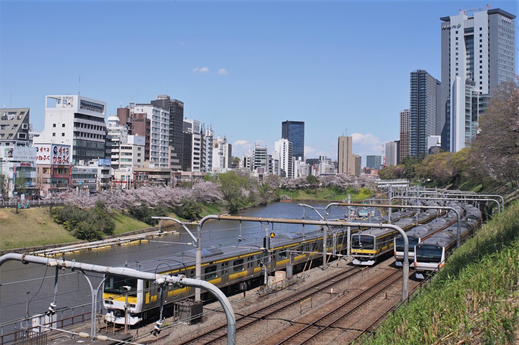 奇跡の1枚！