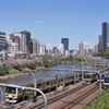 奇跡の1枚！