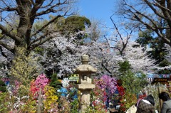 靖国神社