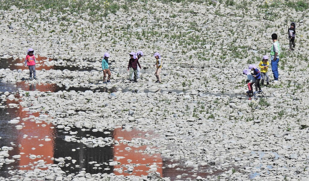 河川敷で遊ぶ幼稚園児