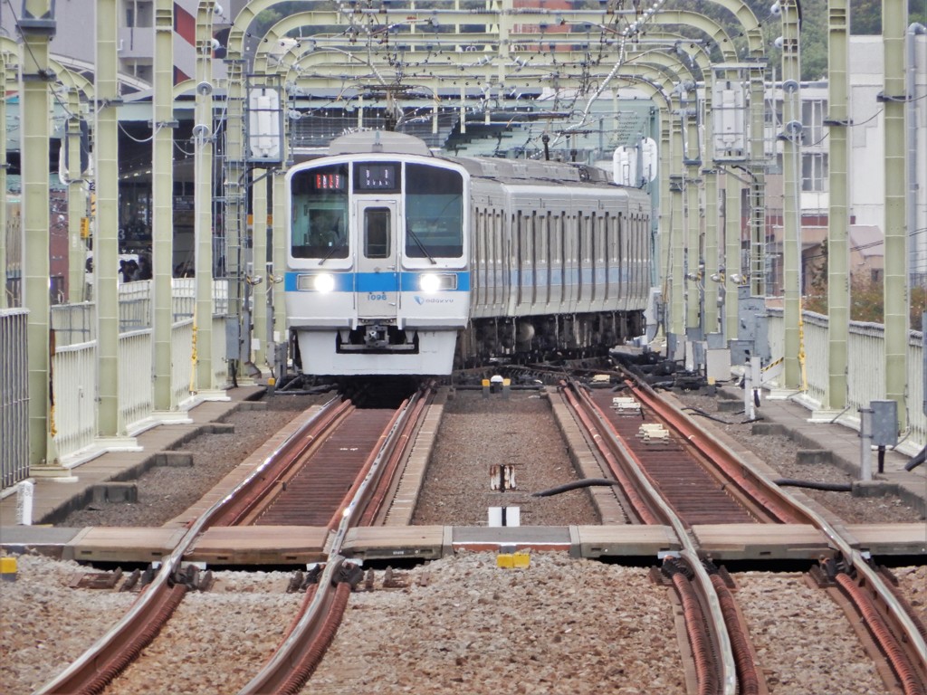 ここが見せ場
