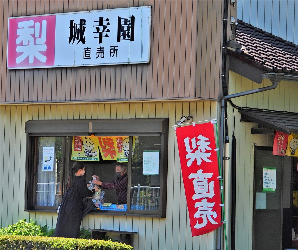 多摩川梨直売店