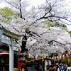 花園神社前