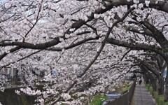 赤ちゃん発見！