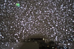 吹雪いてる！