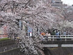 撮影ポイント