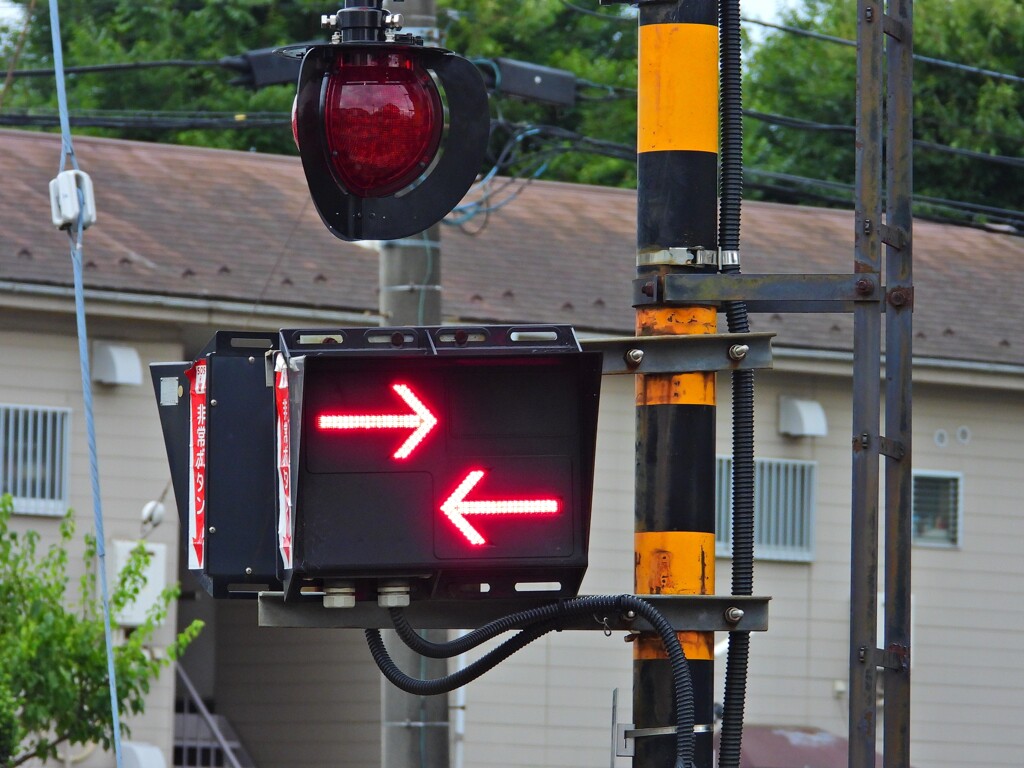 長～～～い  ヾ(≧▽≦)ﾉ