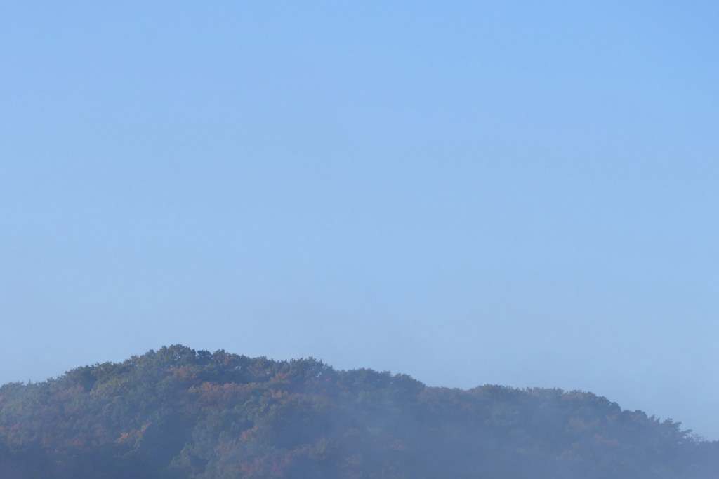 朝霧高原にいるような…