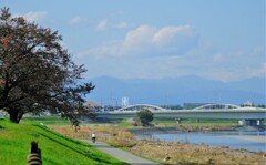 台風の爪跡