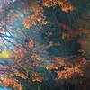 そりゃ24-3000㎜だもの