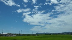 夏の田園