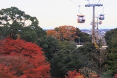 紅葉はもう終わったと