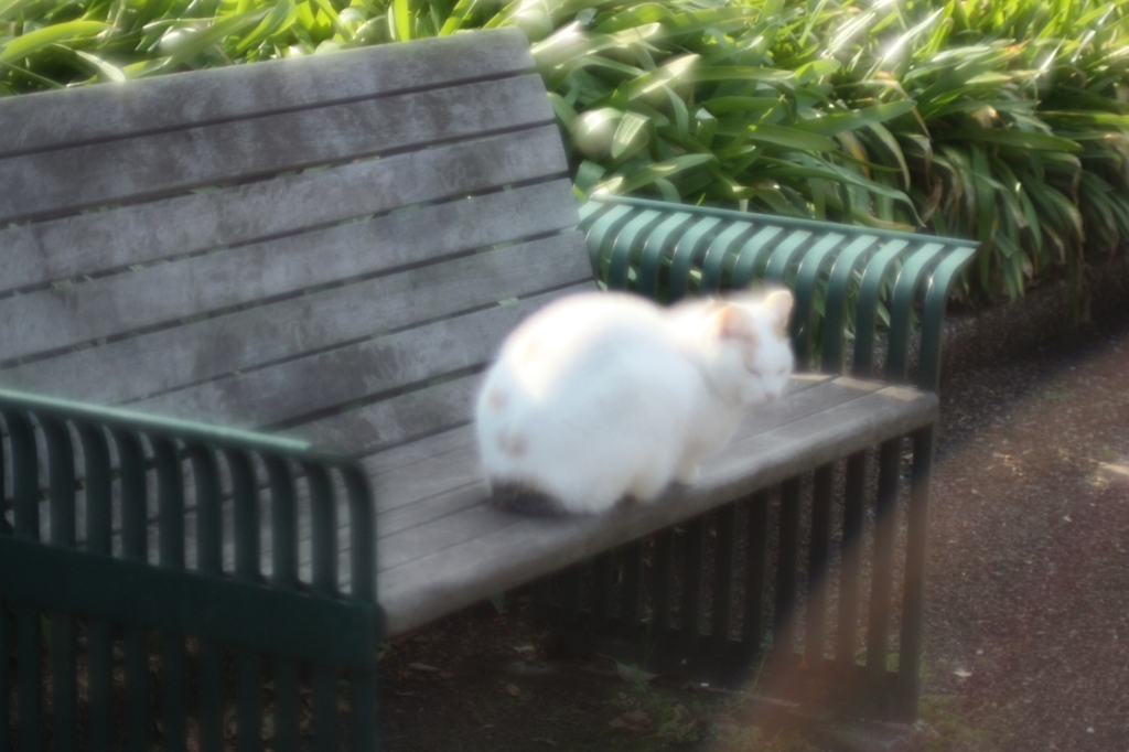 港の見える丘公園のトオル