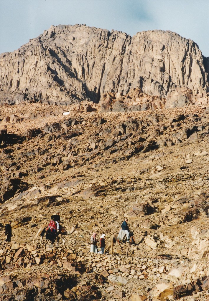 シナイ山