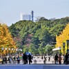 御幸通り