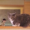 観察されてる