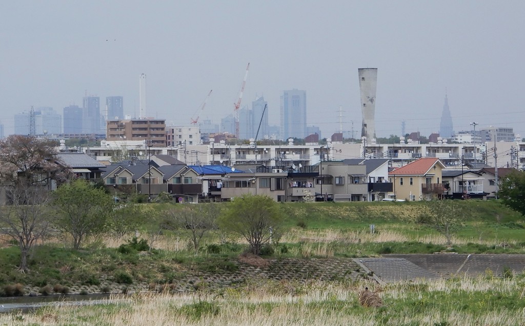 西新宿の高層ビル群