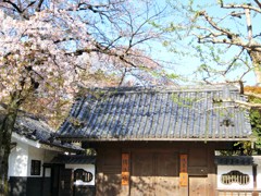 伝法院