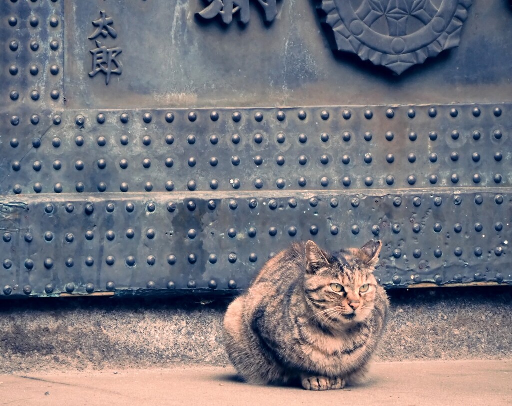 太宗寺の警備主任