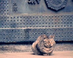 太宗寺の警備主任