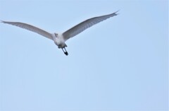 ファームウエア Version1.5.0問題