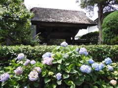 山門