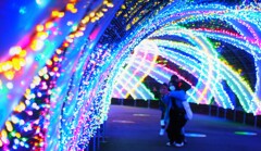 さっそく
