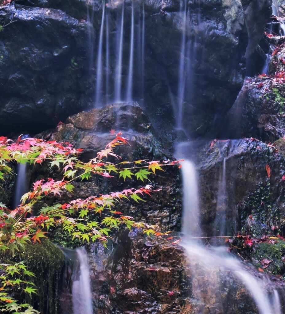 シャッター速度8秒