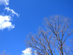 北海道みたいな青空