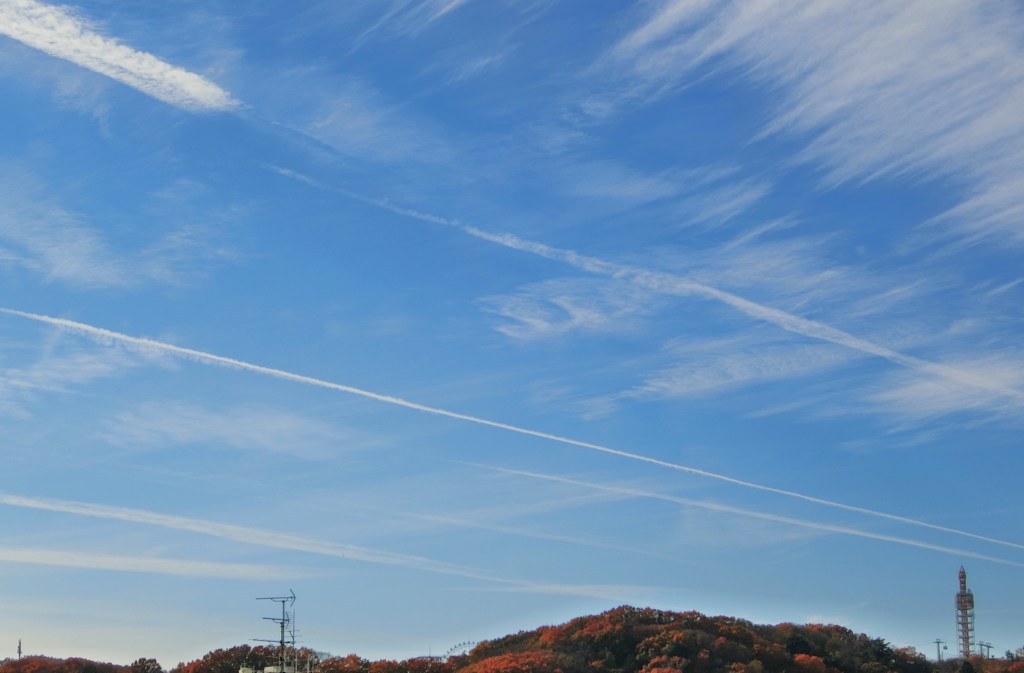 編隊飛行した？