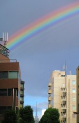 スカイツリーに架かる虹