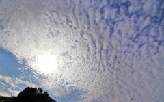 鱗雲の日