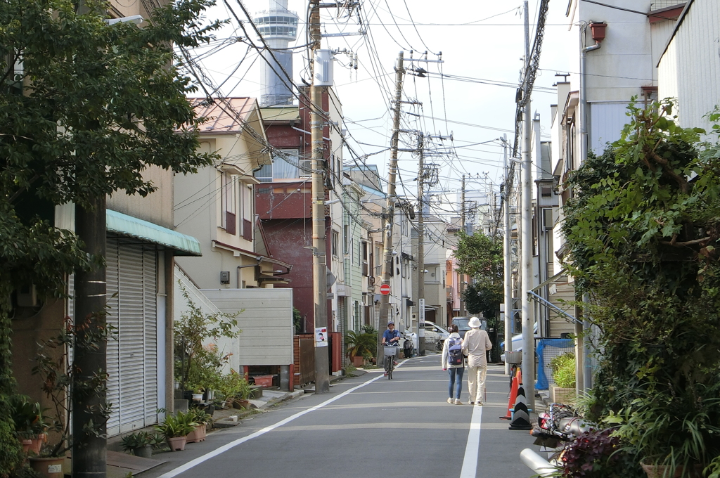 観光地の隣でも