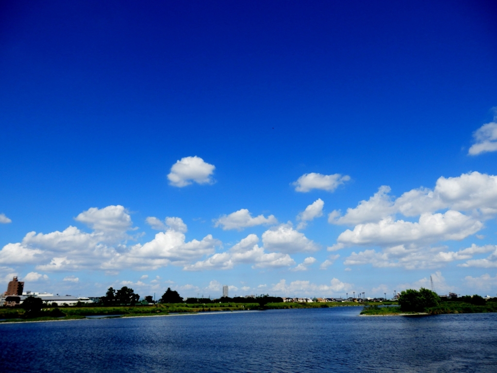 盛夏の多摩川