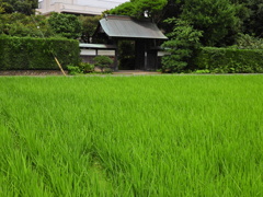 地元のランドマーク