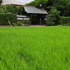 地元のランドマーク