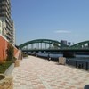 堤防が続く現実
